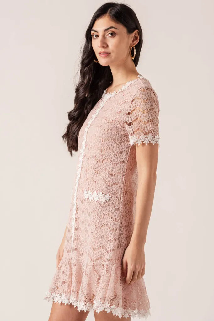 Pink & White Lace Mini Dress
